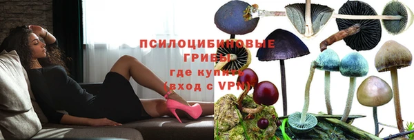 дмт Абаза