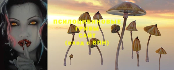 спайс Приозерск