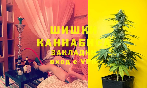 дмт Абаза