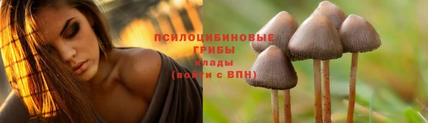 a pvp Абинск