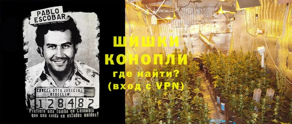 дмт Абаза
