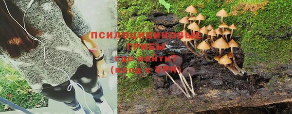 a pvp Абинск